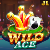 33win93 Wild Ace